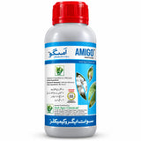 Amigo