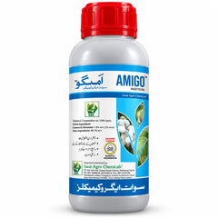 Amigo