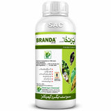 Branda