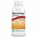 Barrister