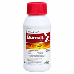 Burnall