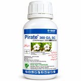 Pirate