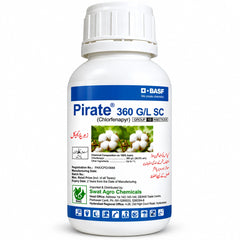 Pirate