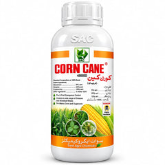 Corn Cane
