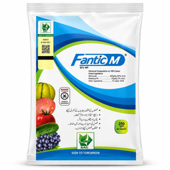 Fantic-M