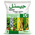 Jestel - ACE Agri Plex