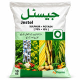 Jestel - ACE Agri Plex
