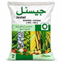 Jestel