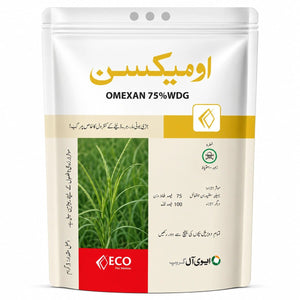 Omexan - ACE Agri Plex