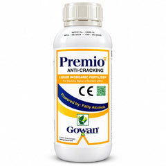 Premio