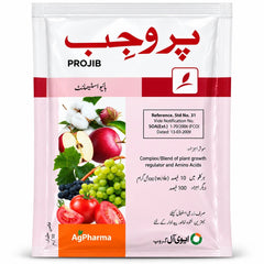 Projib