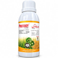 Protokey
